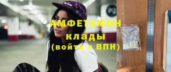 стафф Богданович
